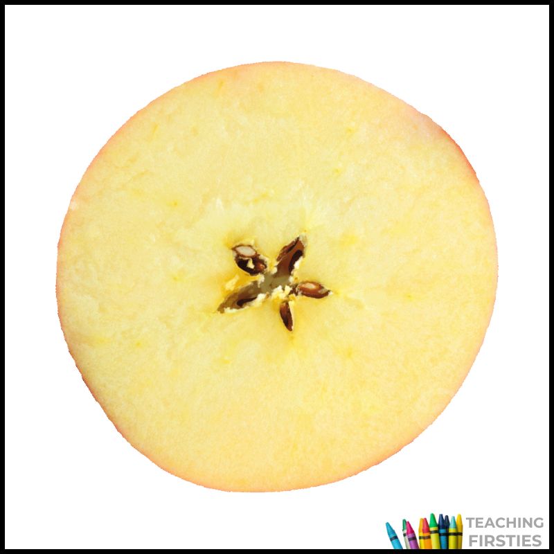 apple science experiments for first grade classrooms