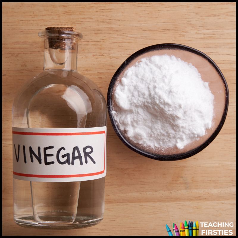 apple science experiments for first grade classrooms