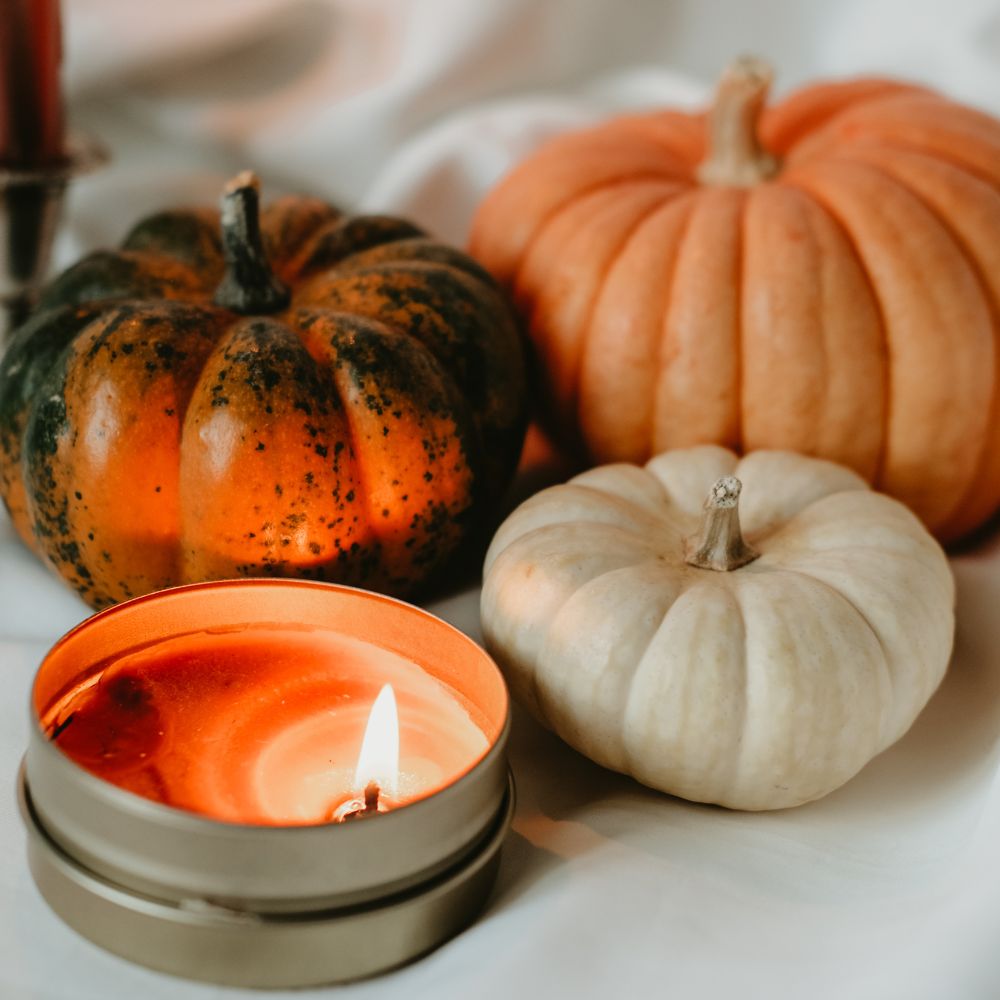pumpkin investigation day