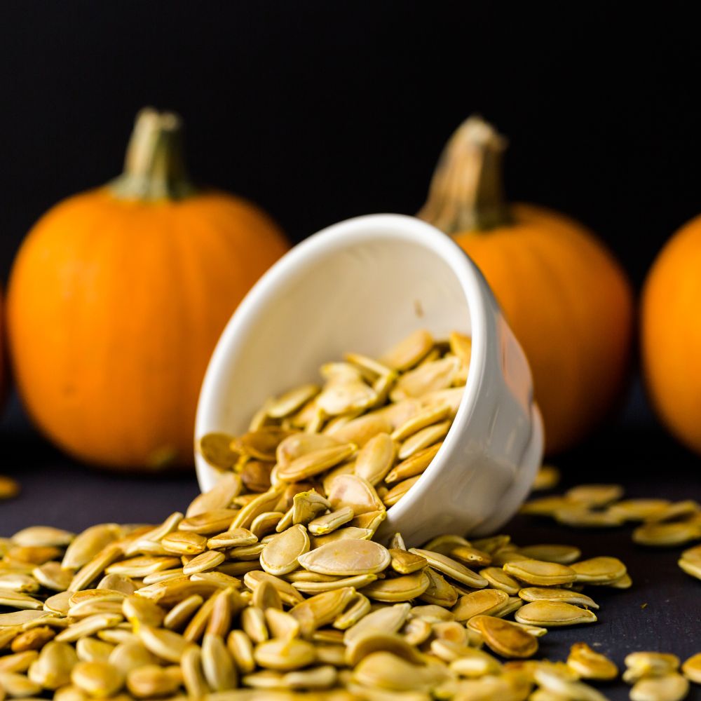 pumpkin investigation day