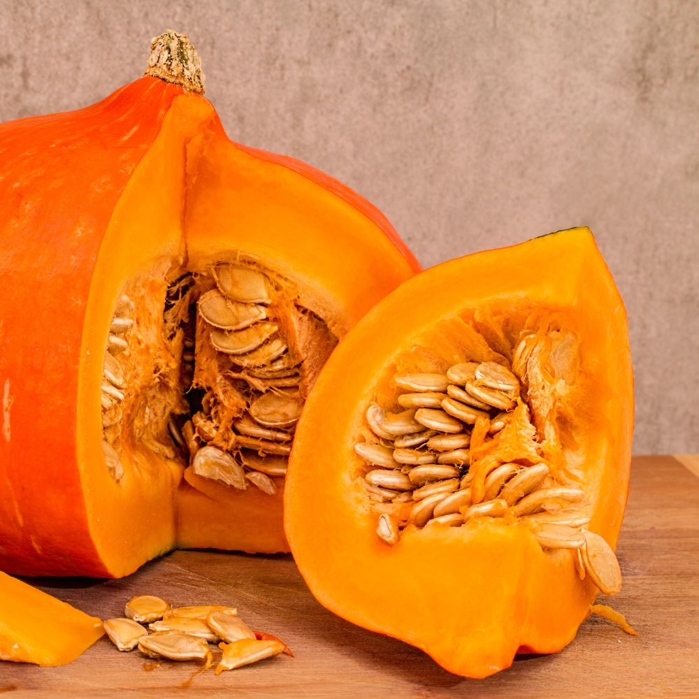 pumpkin investigation day