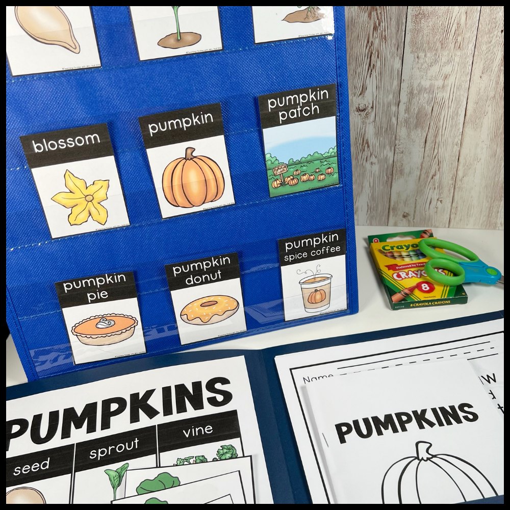 Pumpkin word cards like blossom, pumpkin patch and pumpkin pie in a blue pocket chart beside a pumpkin writing folder