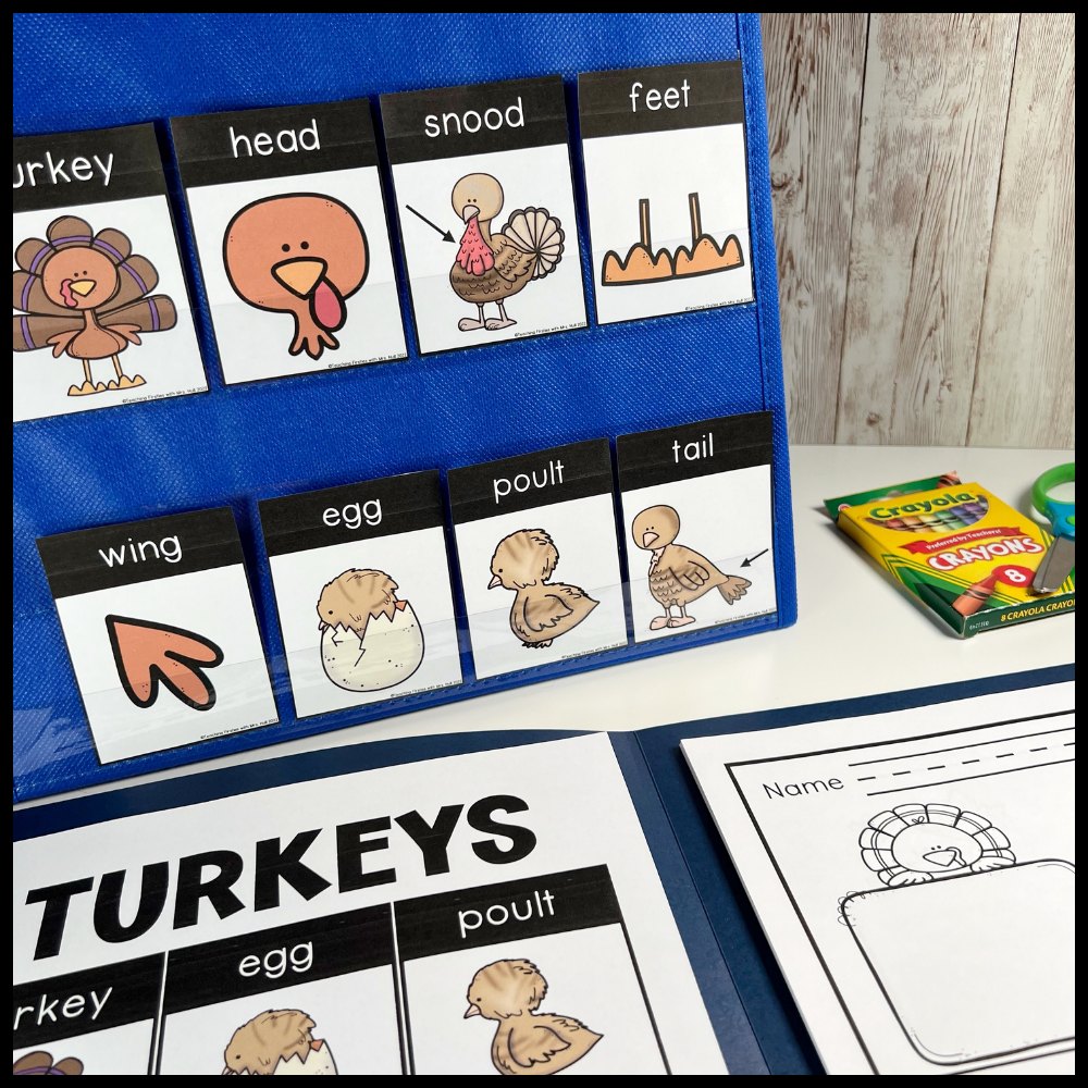 Turkey word cards like head, snood and wing in a blue pocket chart beside a turkey writing folder